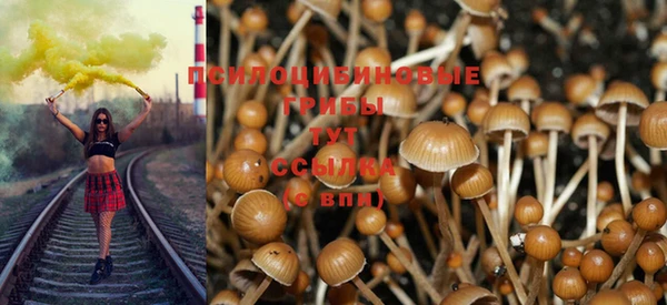 mdpv Володарск